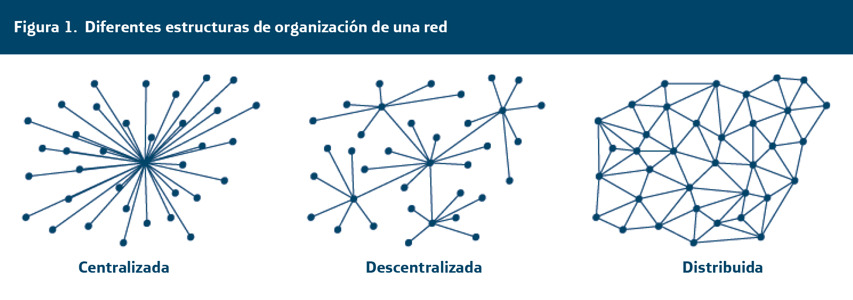 diferentes estructuras de organización de una red