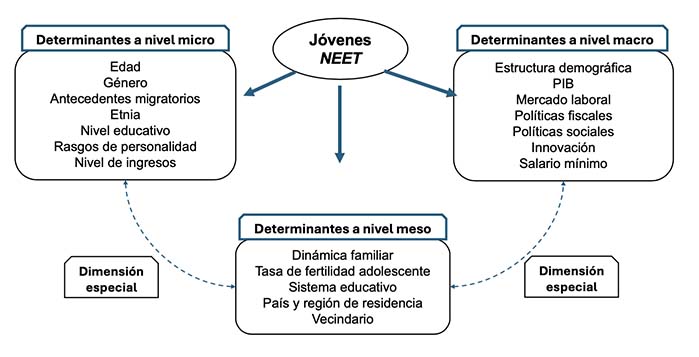 Factores determinantes de jóvenes NEET